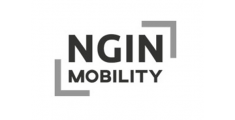 Logo: NGIN